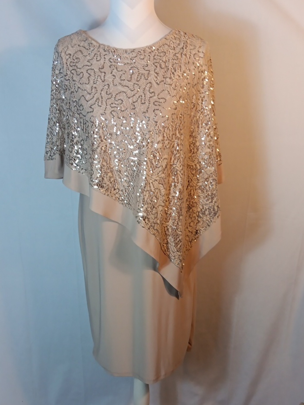 R&M Richards Champagne Sequin Asymmetrical Overlay Dress